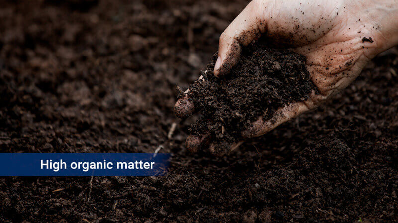 Limited soil uptake 4 - High organic matter